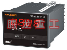 溫度表、數(shù)字顯示儀、濕度表